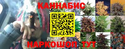 дурь Заводоуковск