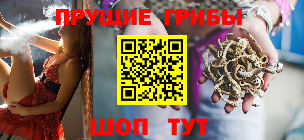 Псилоцибиновые грибы Cubensis  Псилоцибиновые грибы Psilocybine cubensis  Вход с VPN  Мичуринск 